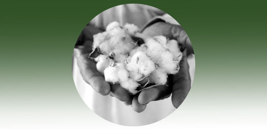 hands holding cotton