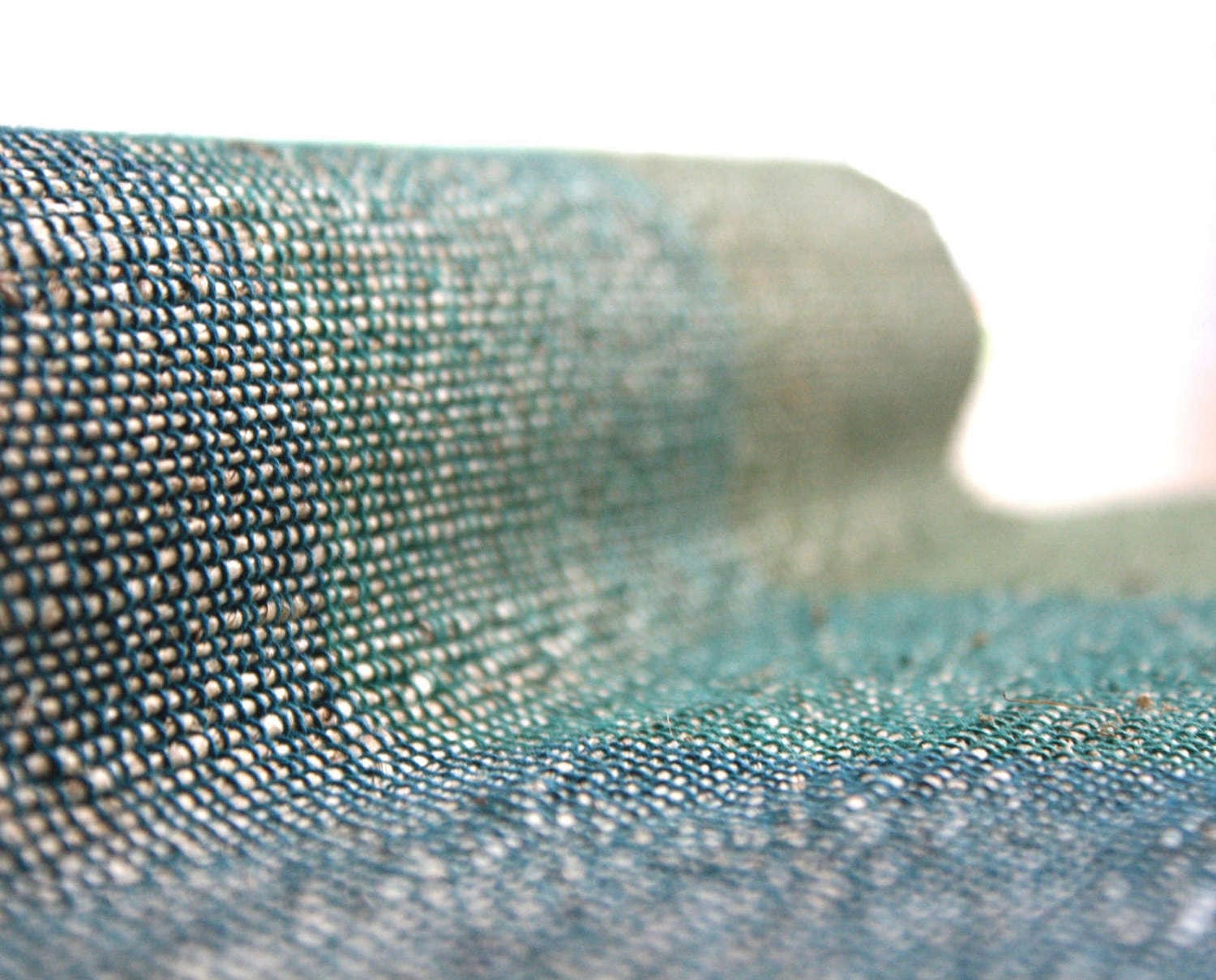 BISCOTTI CHUTNEY Runner